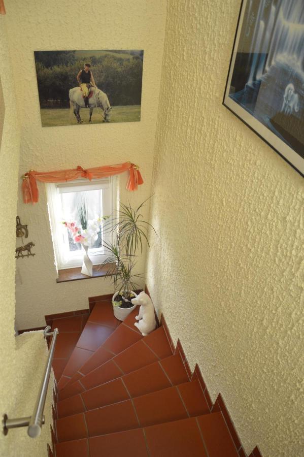 Ferienwohnung Auszeit Waxweiler エクステリア 写真