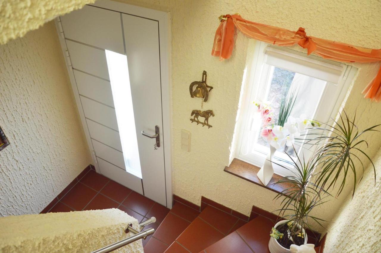 Ferienwohnung Auszeit Waxweiler エクステリア 写真